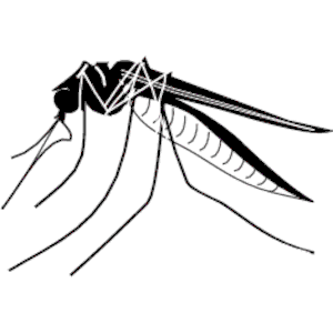 300x300 Mosquito Clipart 5