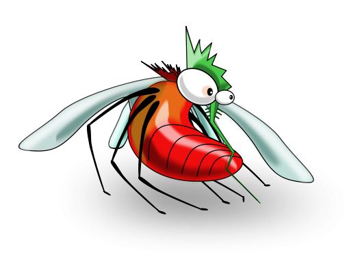 507x385 Mosquito The World Clip Art