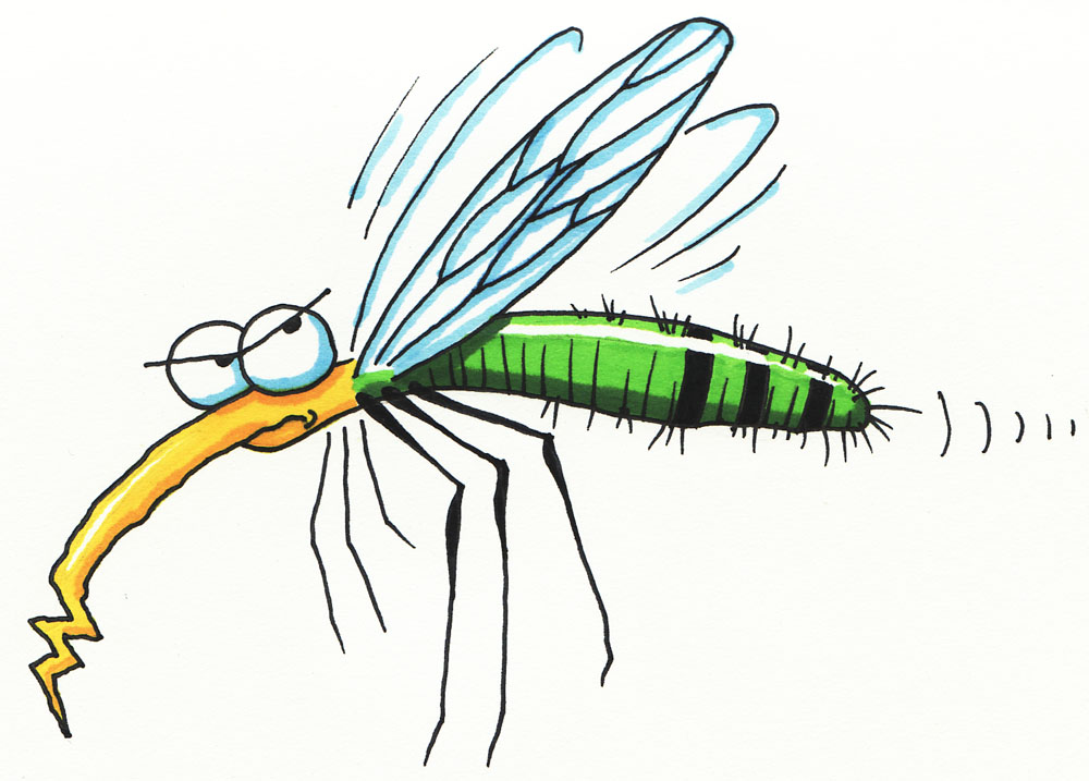 1000x717 Mosquito Clip Art 9 1000x717 Clipart Panda
