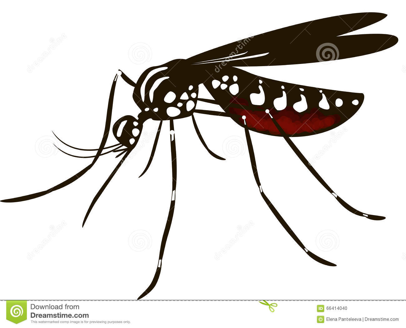 1300x1051 Mosquito Clipart
