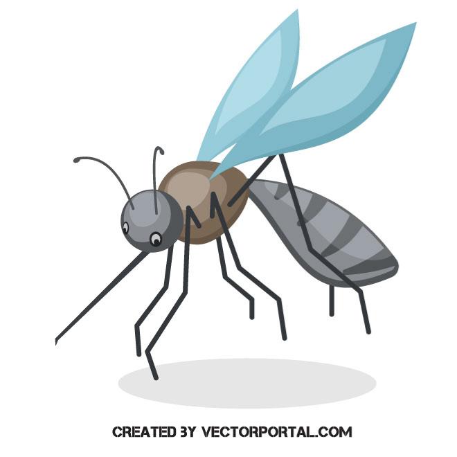 660x660 Free Insects And Bugs Vectors