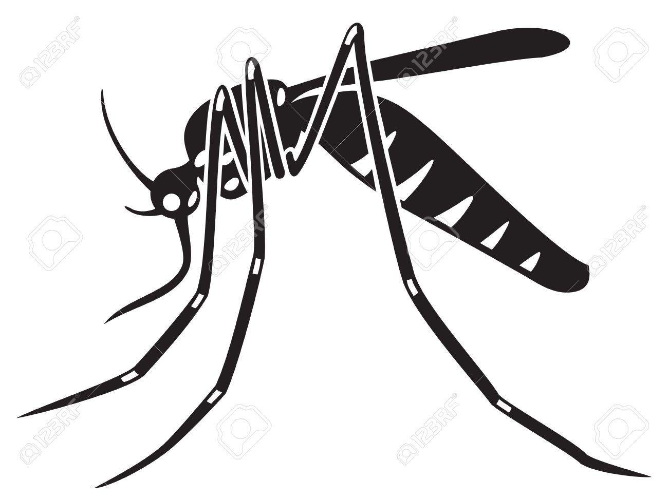 1300x972 Tiger Mosquito Clipart