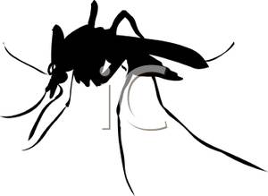 300x219 Of A Realistic Mosquito