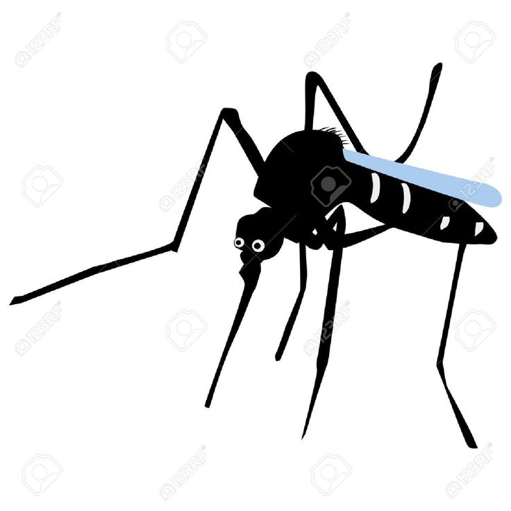 Mosquito Clipart Images