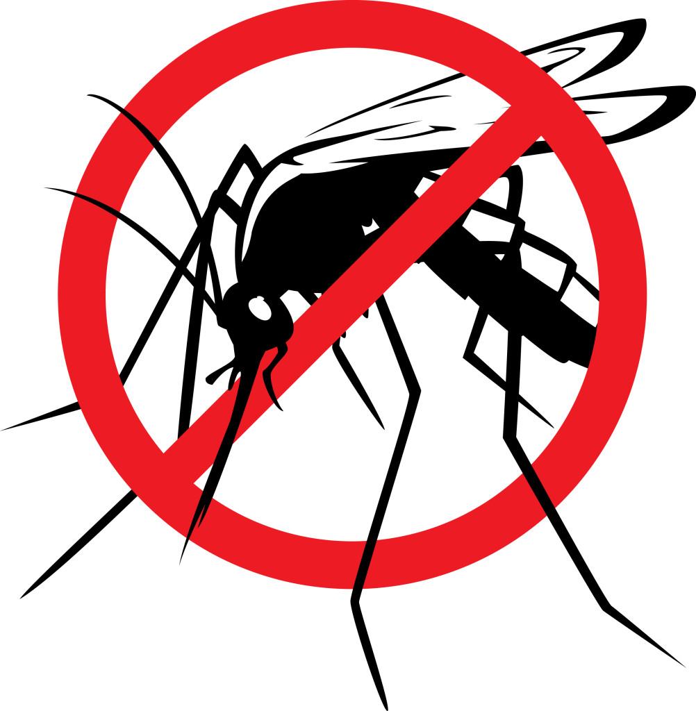 1002x1024 More Mosquito Clipart