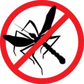 170x170 Mosquito Vector Clip Art