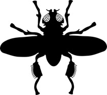 210x188 Free Insect Clipart