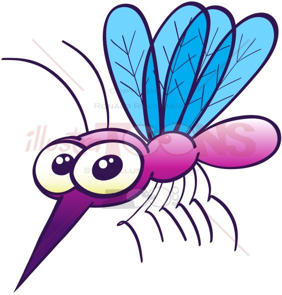 563x590 Harmless Purple Mosquito Clip Art