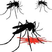 170x170 Mosquito Clip Art