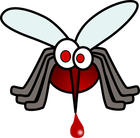 569x562 Mosquito Clip Art Amp Images