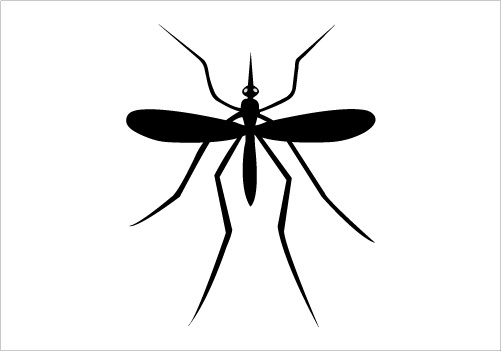 501x351 Mosquito Silhouette Graphics Silhouette Graphics