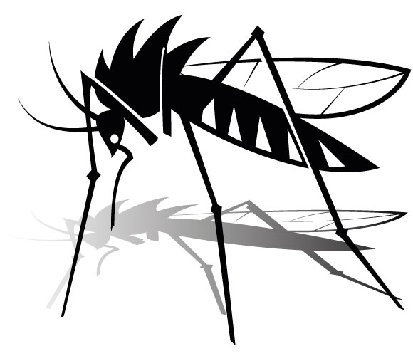 580x500 Mosquito Clipart The Cliparts