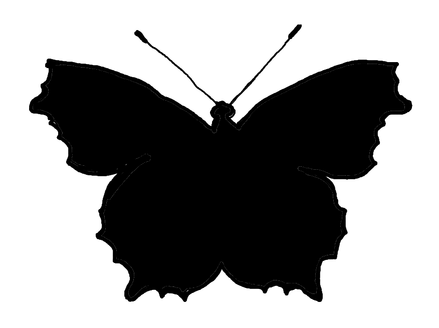 876x655 Clip Art Black And White Moth Clipart