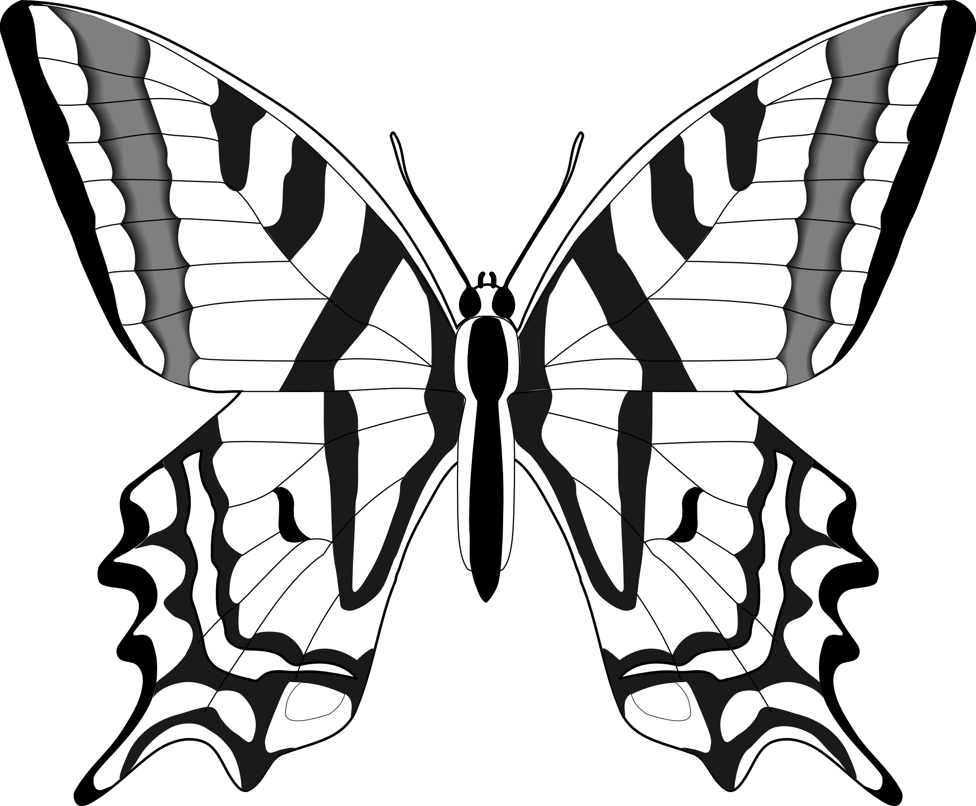 1969x1626 Drawn Moth Clip Art