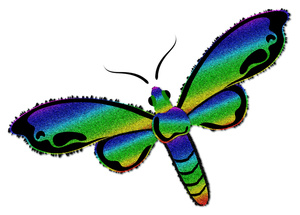 300x215 Free Free Insect Clip Art Image 0515 1101 2420 1659 Animal Clipart