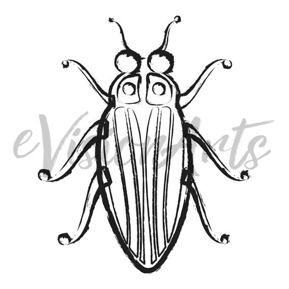 570x570 Insect Clipart Bug Clipart Bug Clip Art Insect Clip Art