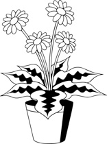 156x210 Search Results For Flower