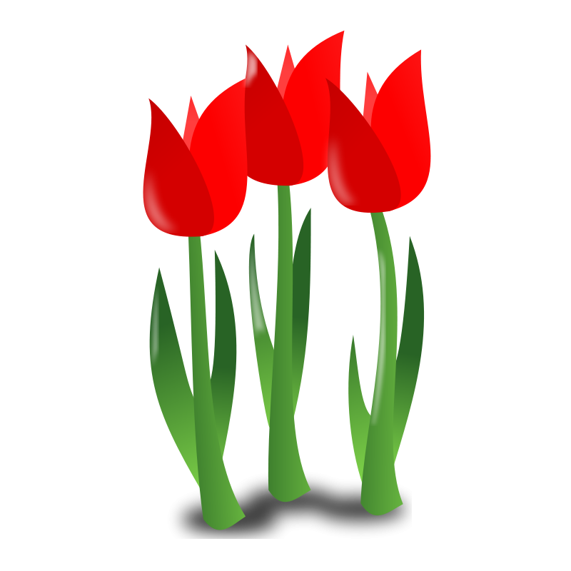 800x800 Mother Day Icon Free Vector 4vector