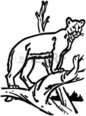 336x450 Mountain Lion Clipart Many Interesting Cliparts