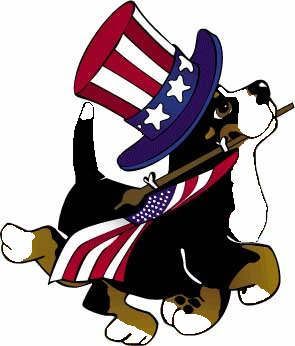 295x346 Bernese Mountain Dog Clipart Costume