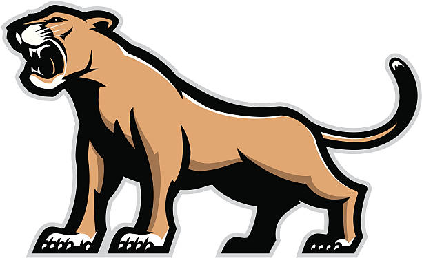 612x375 Mountain Lion Clipart