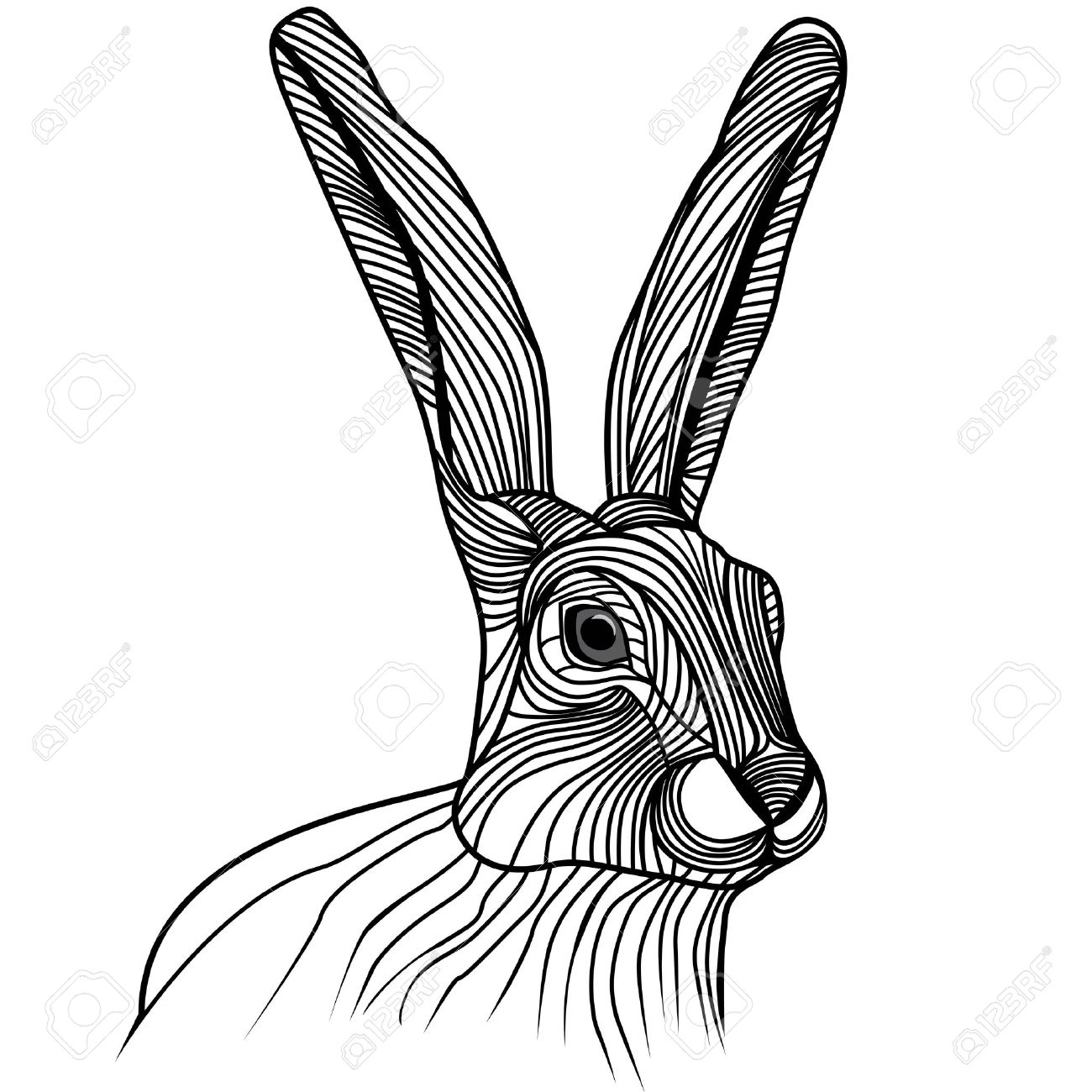 1300x1300 Top 96 Jackrabbit Clip Art