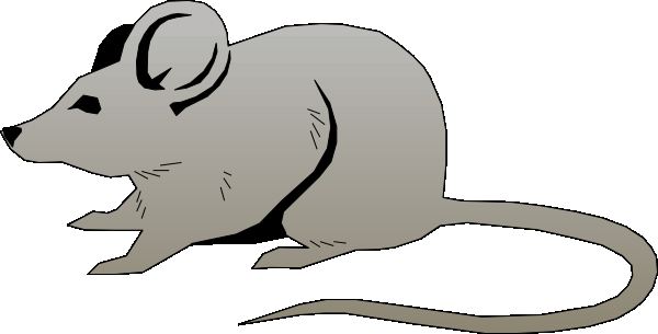 600x305 Free Mouse Clipart Kid