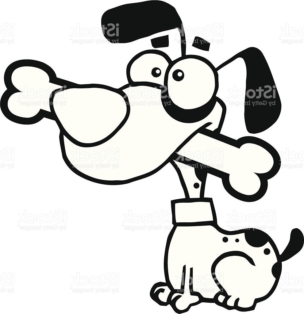991x1024 Top 10 Black And White Dog Sitting With Bone In His Mouth Vector