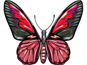 293x220 Free Animated Butterfly Clipart