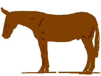 347x260 Cowboy Clip Art