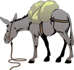 300x285 Mule Clip Art