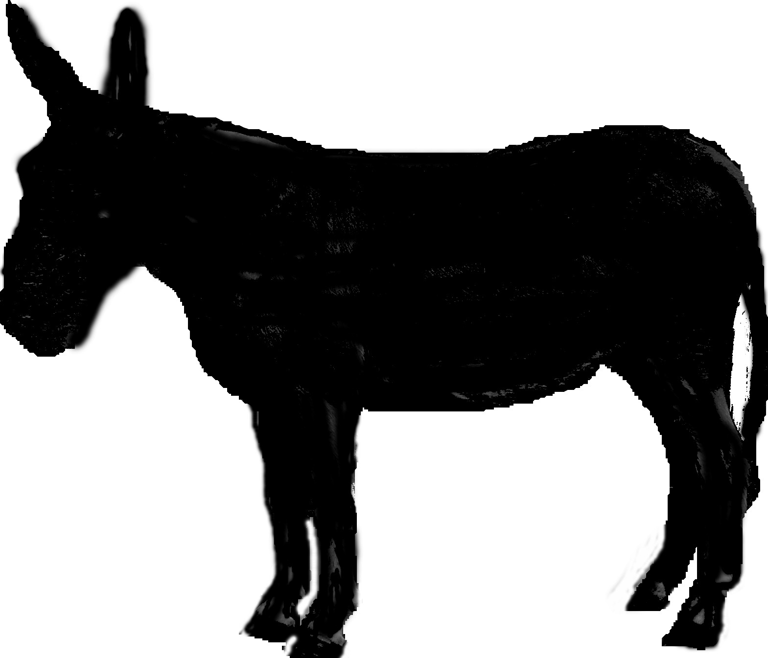 1569x1345 Mule Clip Art