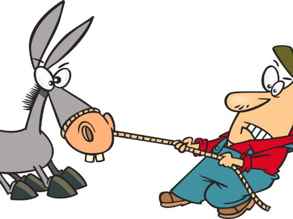 599x449 Free Year 4 Maths Powerpoint Presentation