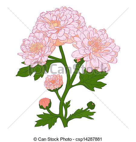 450x470 Plant Free Clipart