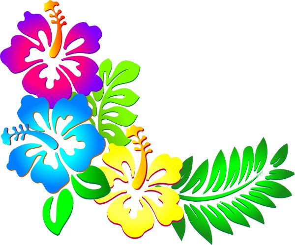 600x499 The Best Hawaii Flowers Drawing Ideas Hawaiian