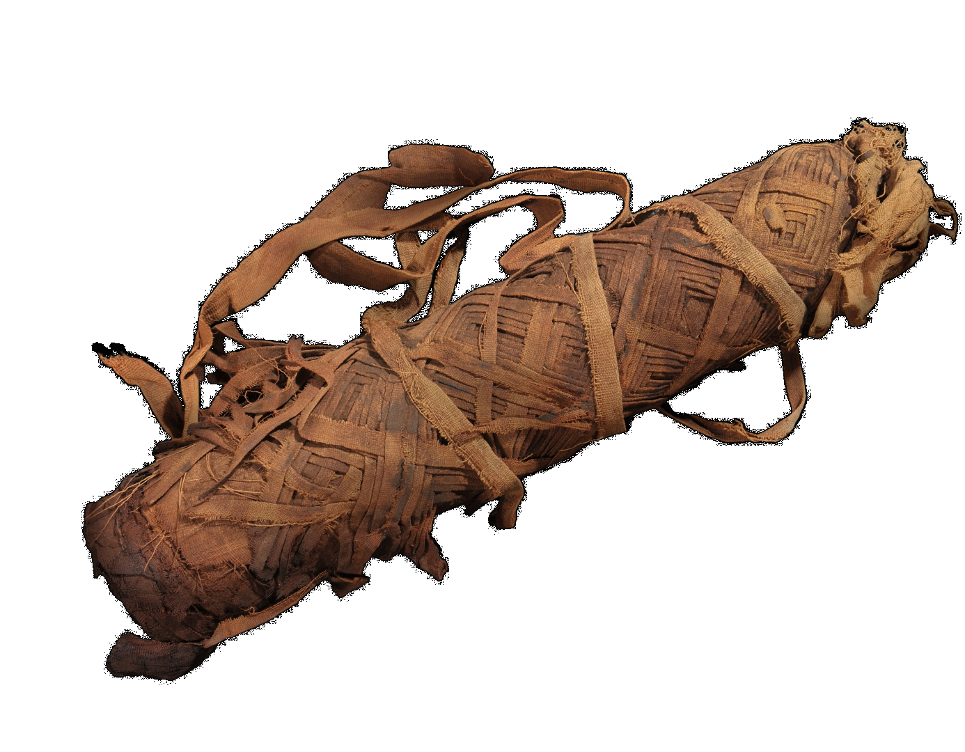 1386x1080 Warsaw Mummy Project