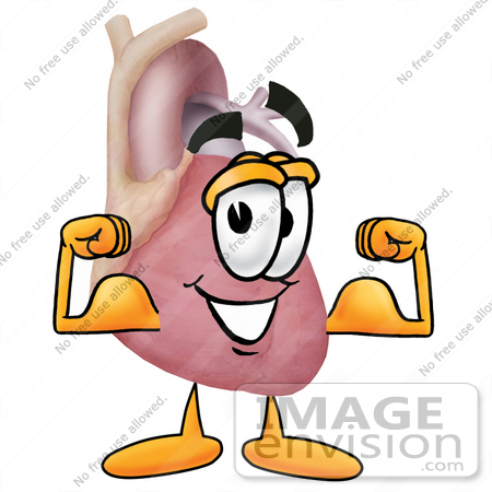 450x450 Heart Muscle Clipart