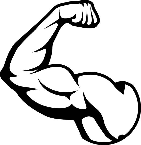 Muscles Clipart | Free download on ClipArtMag