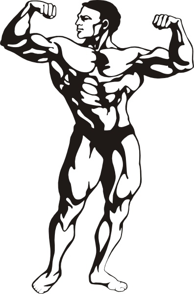 396x599 Muscle Free Vector Download (48 Free Vector) For Commercial Use