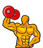 151x170 Rate Clipart Muscular Strength