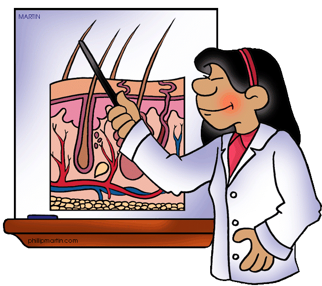 648x576 Bones, Muscles Amp Skin