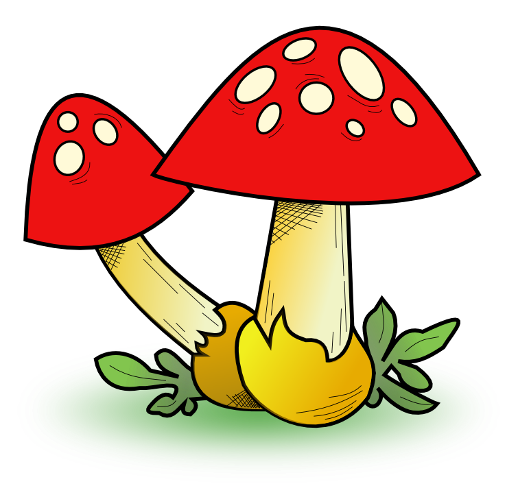 755x709 Mushroom Clip Art