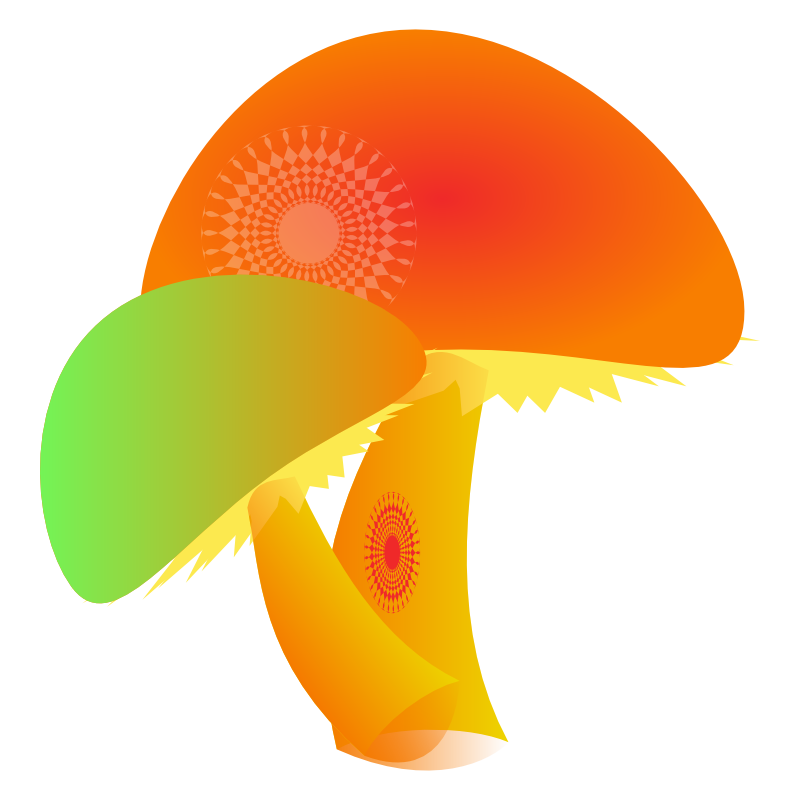800x800 Mushrooms Clip Art