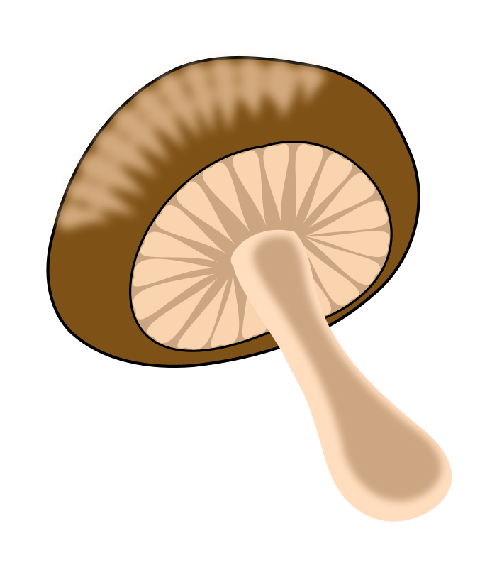 701x800 Mushrooms Clipart Image 3