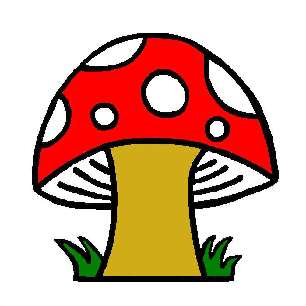 1005x1005 Best Cartoon Clipart Mushroom Clip Art Drawing