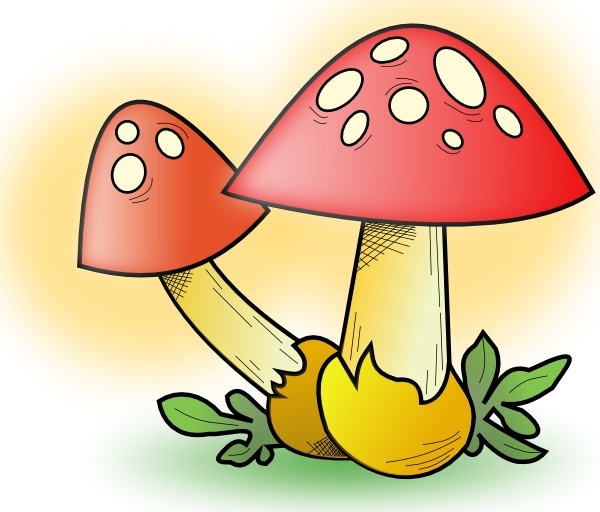 600x512 Romanov Mushroom Clip Art Free Vector In Open Office Drawing Svg