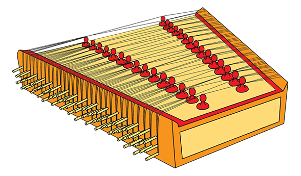 588x345 Musical Instruments Jcarya