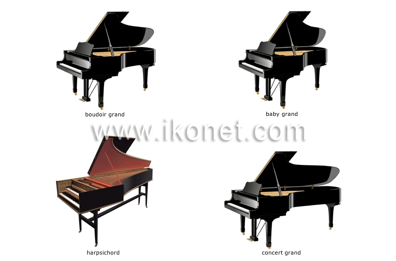 800x527 Arts And Architecture Gt Music Gt Keyboard Instruments Gt Examples
