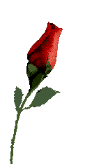 135x234 Rose3.gif