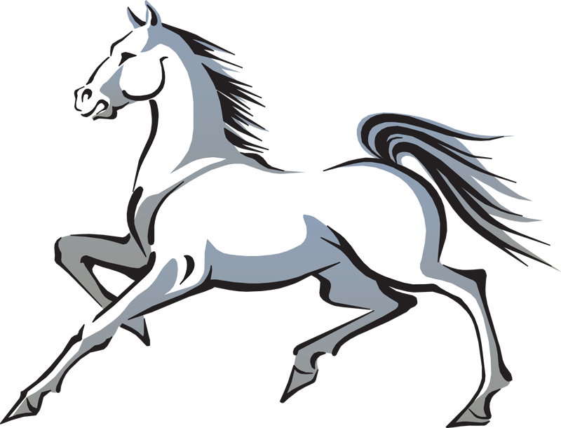 800x610 Stallion Clipart White Horse